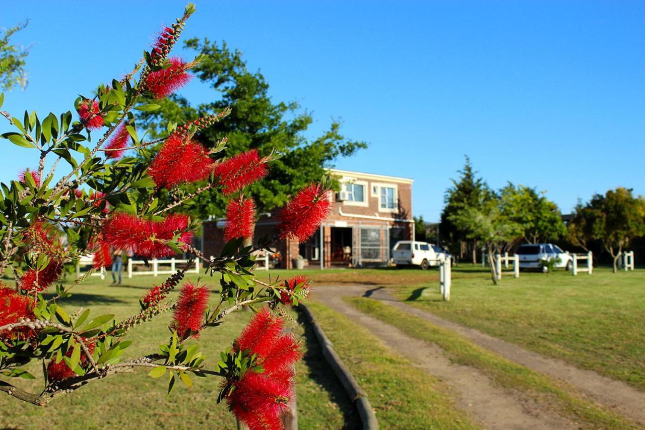 African Adventures Accommodation Durbanville Kültér fotó